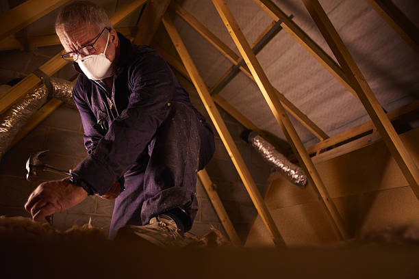 Best Commercial Insulation in Shorewood, WI